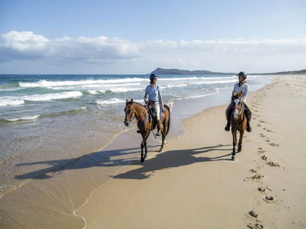 Antalya Horse Riding