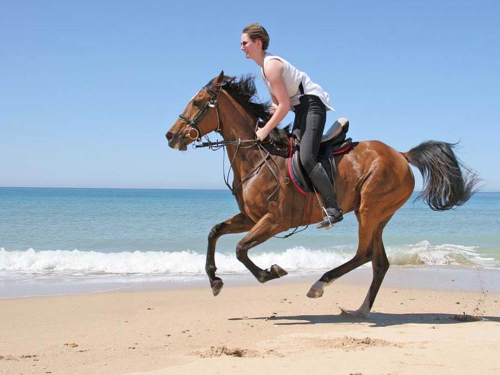 Antalya Horse Riding