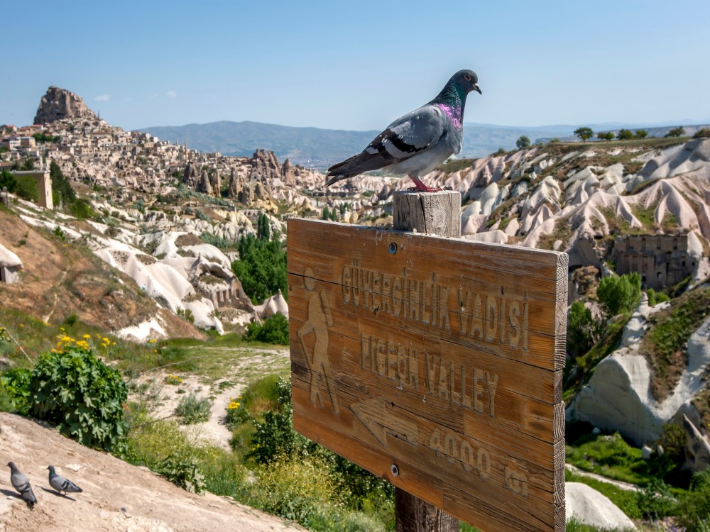 When should I go to Cappadocia ?