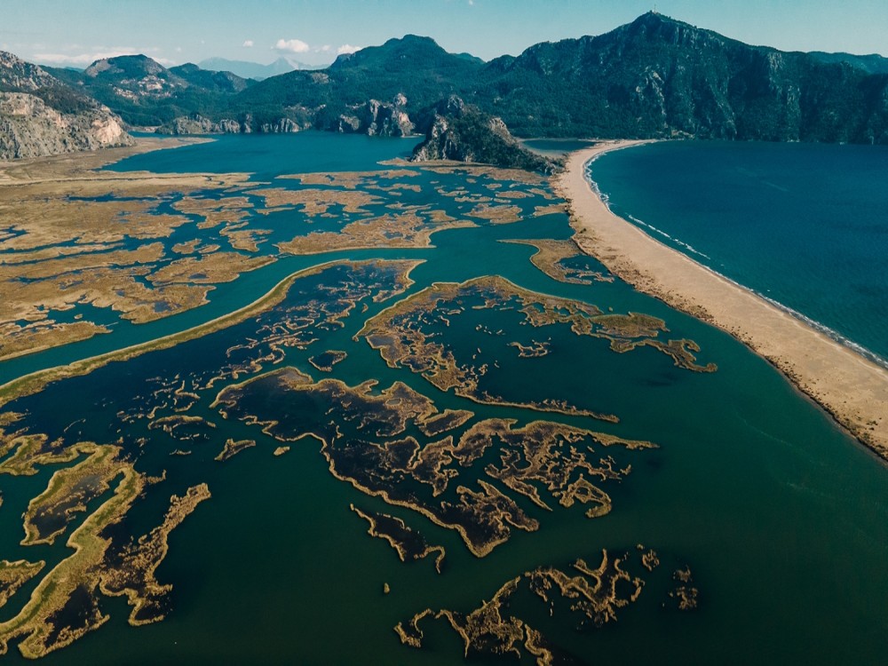 Marmaris Turtle Beach Tour With Mud Baths & River Cruise | ®ExcursionMania