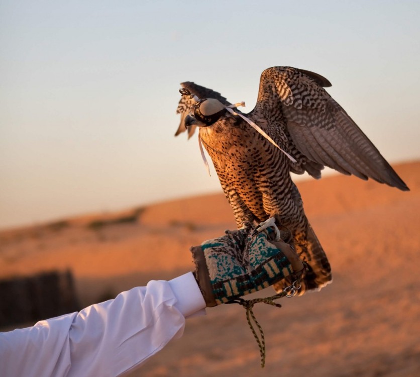Dubai: Quad Bike Safari, Camels & Al Khayma Camp BBQ Dinner | ®ExcursionMania