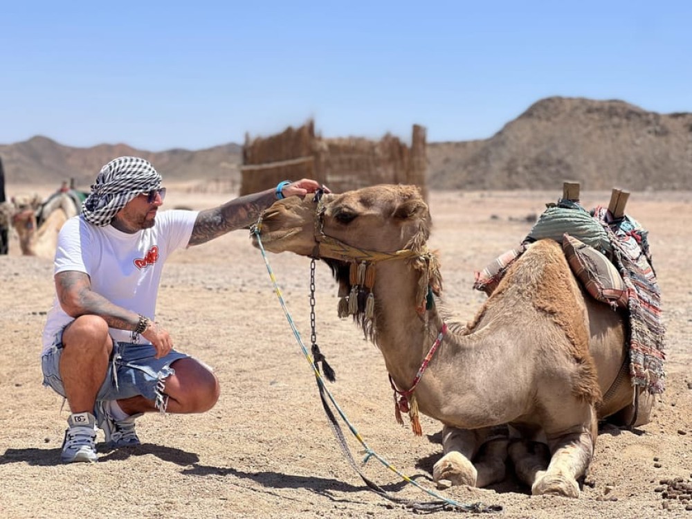 Hurghada: Morning-Afternoon Quad Safari Camel & Transfer | ®ExcursionMania
