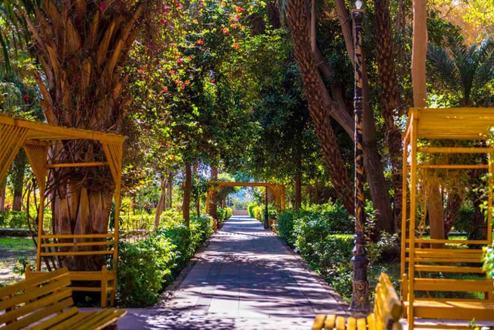 Aswan: Private Nile Boat Cruise and Botanical Garden Visit | ®ExcursionMania