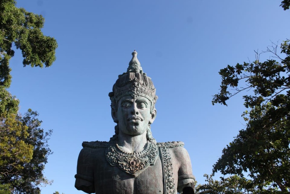 Image 4