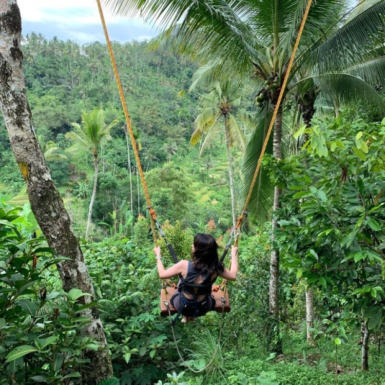 Bali: Mount Batur Sunrise Trekking Experience with Transfer | ®ExcursionMania