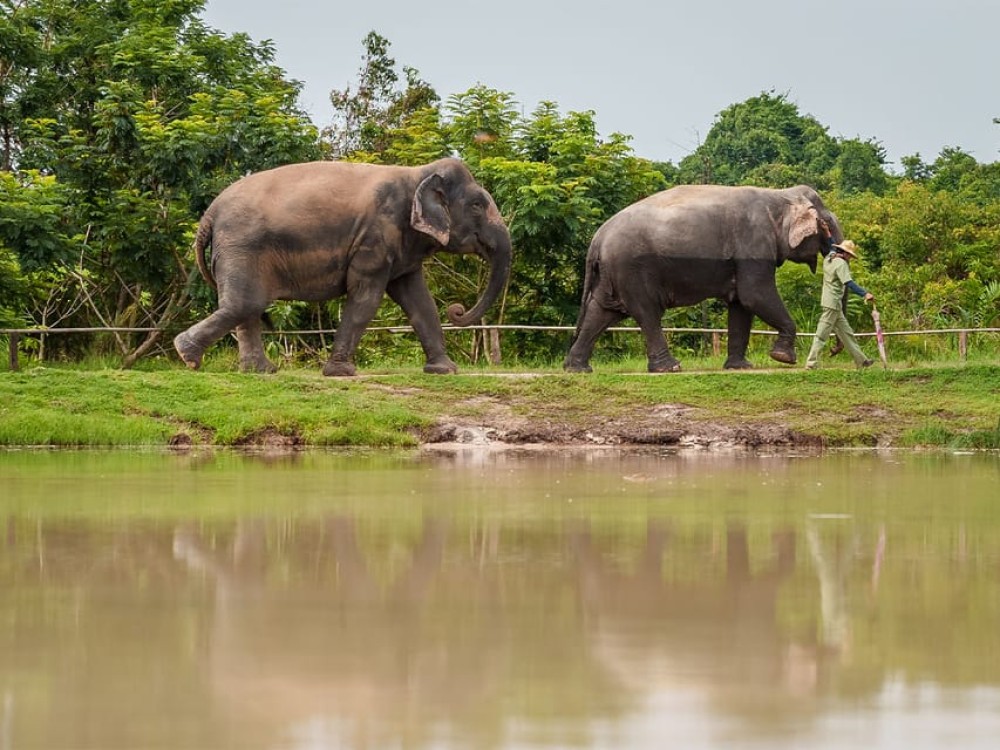 Kulen Adventure tour by Jeep with Picnic & Elephant Forest | ®ExcursionMania