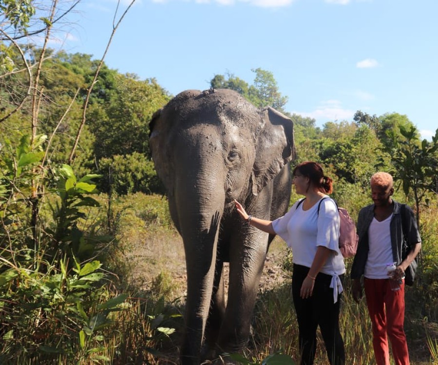 Kulen Mountain Day Trip with Picnic & Kulen Elephant Forest | ®ExcursionMania