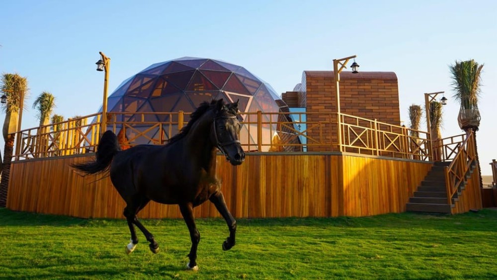 Dubai: Al Marmoom Domes Desert Glamping & Dining Experience | ®ExcursionMania