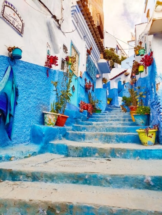 From Fez : Memorable Day Trip to Chefchaouen the Blue City | ®ExcursionMania