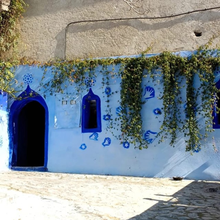From Fez : Memorable Day Trip to Chefchaouen the Blue City | ®ExcursionMania