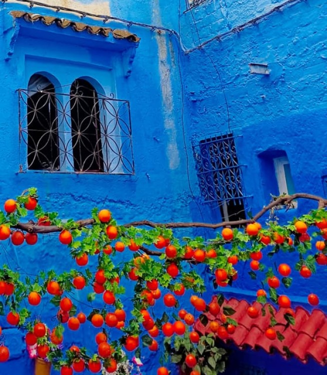 From Fez : Memorable Day Trip to Chefchaouen the Blue City | ®ExcursionMania