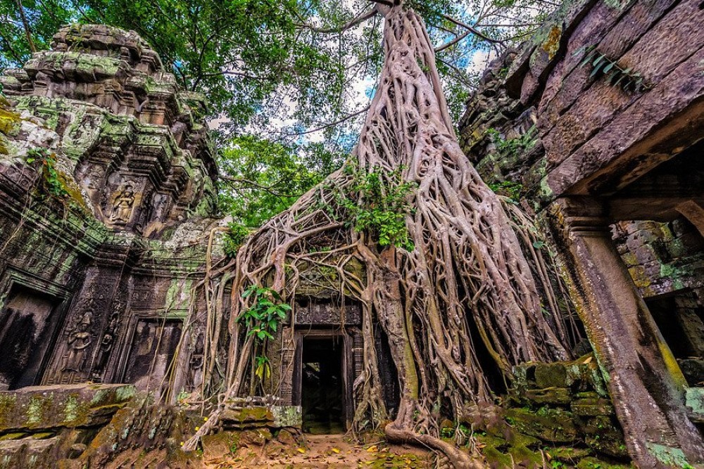 Siem Reap: Angkor Wat Sunrise And Market Tour By Jeep | ®ExcursionMania