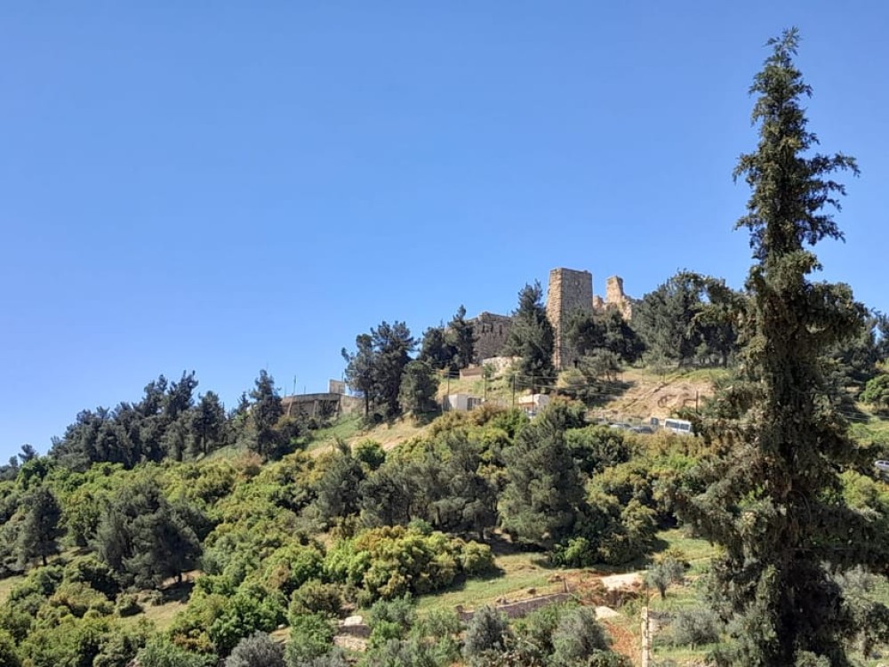 From Amman: Private Jerash, Ajloun Castle And Umm Qais Tour | ®ExcursionMania