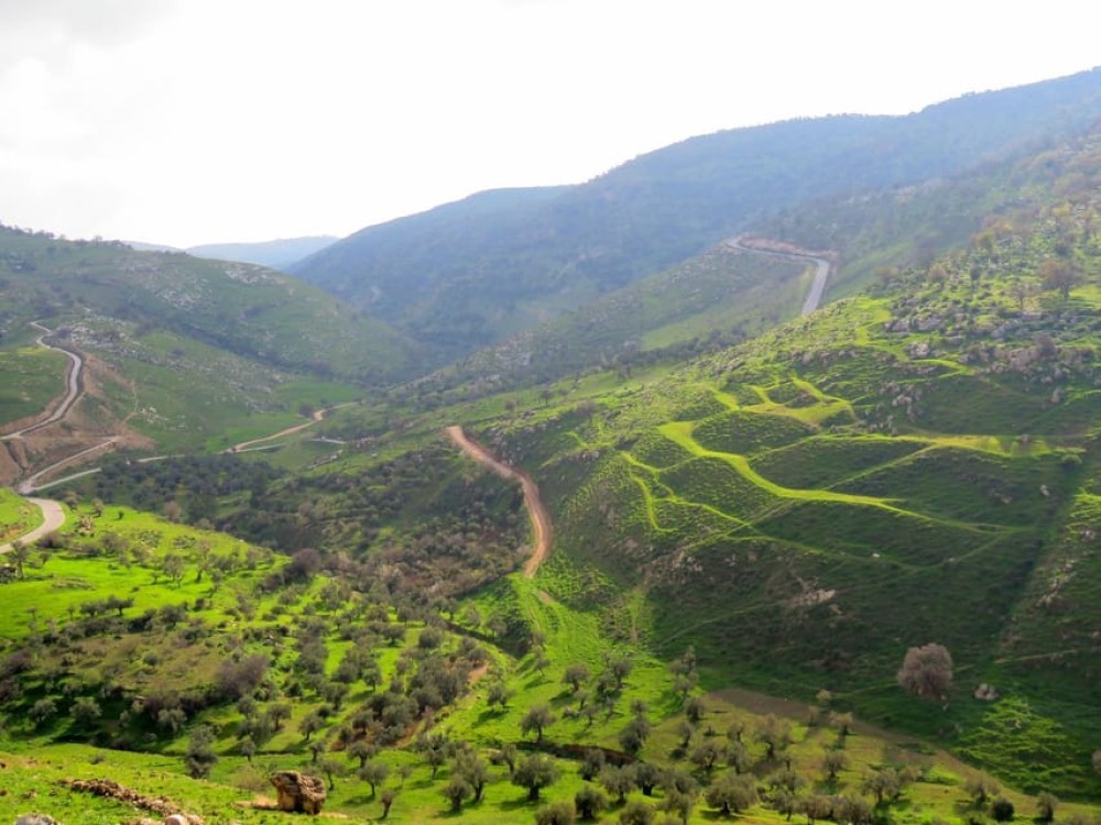 From Amman: Private Jerash, Ajloun Castle And Umm Qais Tour | ®ExcursionMania