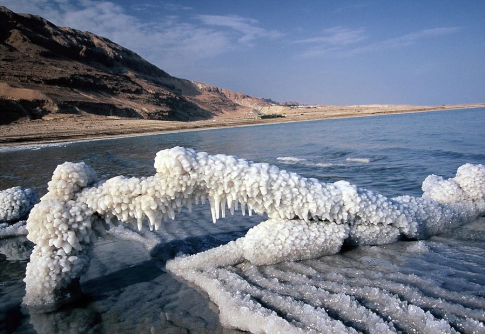 From Amman: Petra and Dead Sea Private Day Tour | ®ExcursionMania