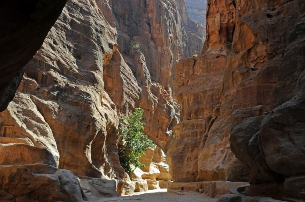 From Amman: Petra and Dead Sea Private Day Tour | ®ExcursionMania