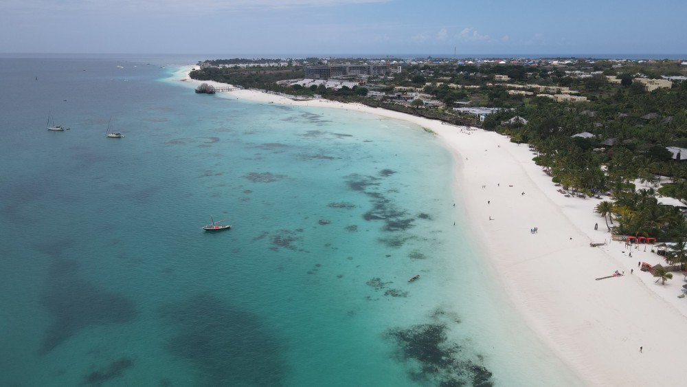 From Kendwa/Nungwi: Mnemba Snorkel Trip and dolphins | ®ExcursionMania