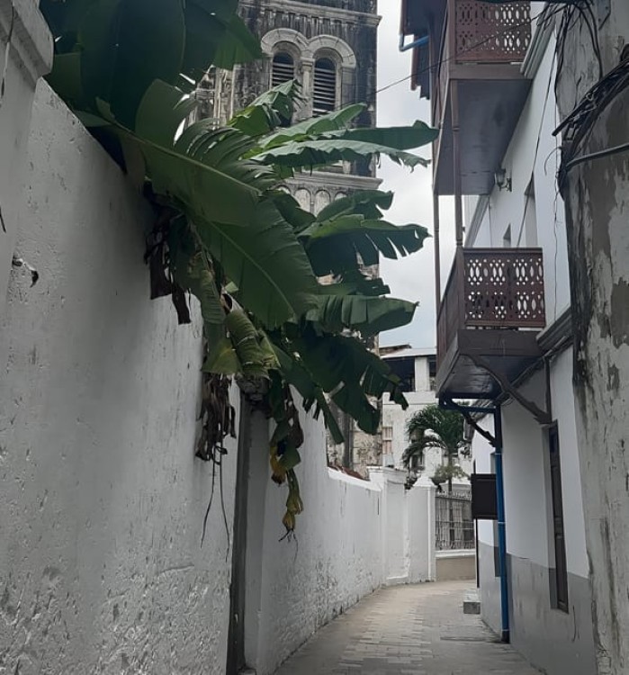 Zanzibar: Stone Town, Prison Island, and Spice Farm Tour | ®ExcursionMania