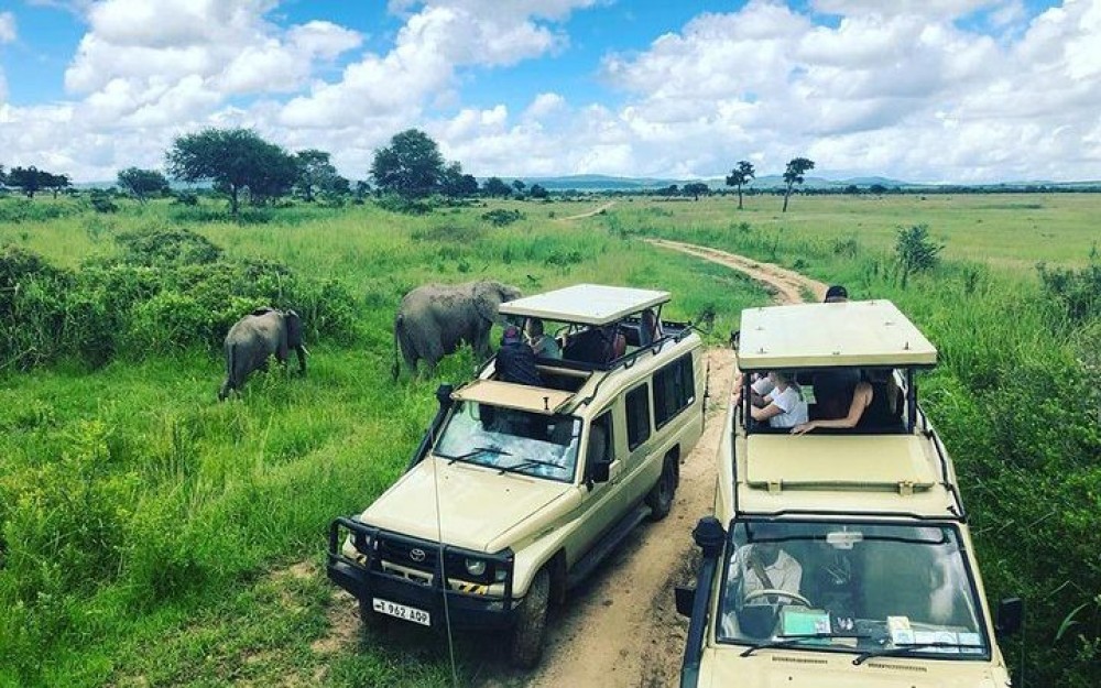 3 Day Joining Group Safari from Zanzibar to Mikumi Park | ®ExcursionMania