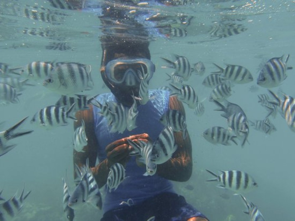 Mnemba Island Zanzibar: Dolphin Swim and Snorkeling Adventure | ®ExcursionMania