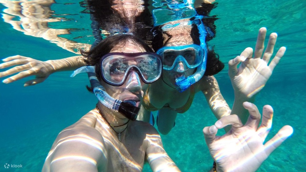 Mnemba Island Zanzibar: Dolphin Swim and Snorkeling Adventure | ®ExcursionMania