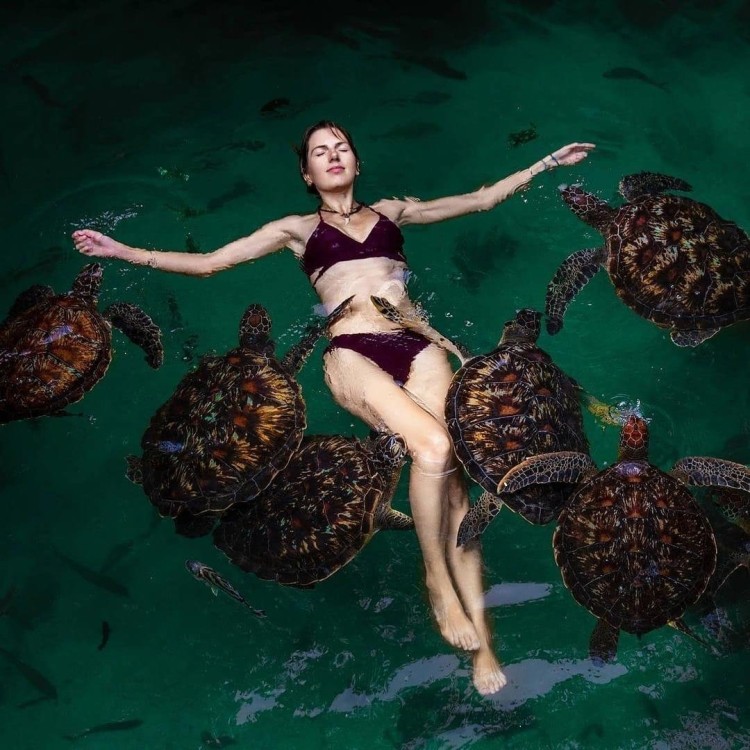 Dolphins Tour and Turtles Swimming in Kizimkazi | ®ExcursionMania