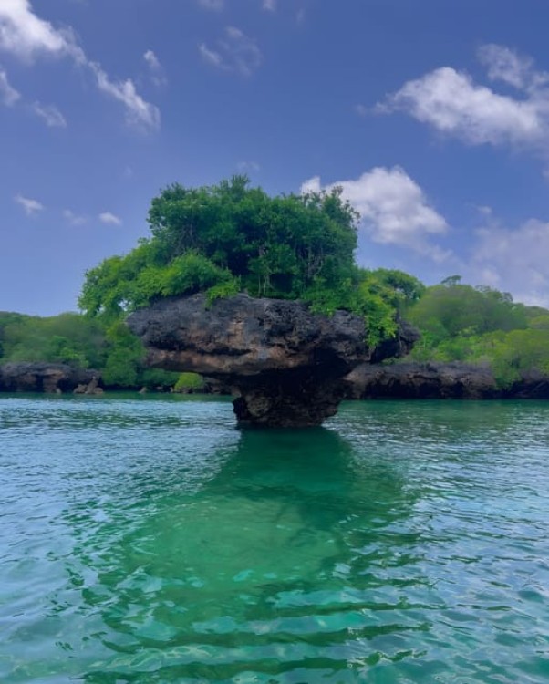 Zanzibar Safari blue: Snorkeling & Sandbank Tour With Lunch | ®ExcursionMania