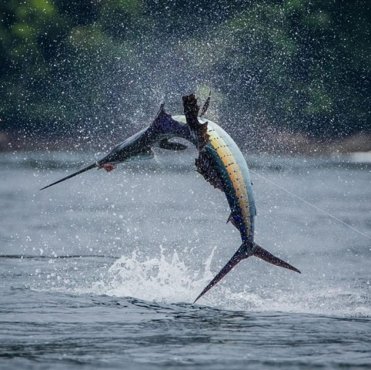 Zanzibar Big Fishing | ®ExcursionMania