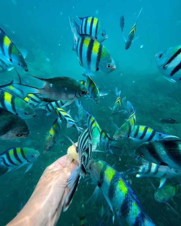 Zanzibar: Blue Lagoon, Rock Restaurant, Cave, and Beach Trip | ®ExcursionMania