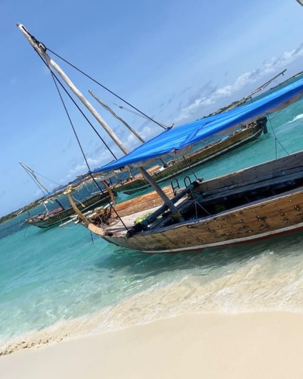 Safari Blue Zanzibar Sandbank and Snorkeling Tour | ®ExcursionMania