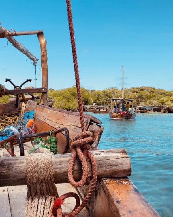 Safari Blue Zanzibar Sandbank and Snorkeling Tour | ®ExcursionMania