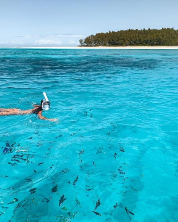 Private Dolphin Tour and Snorkeling at Mnemba Island reef | ®ExcursionMania