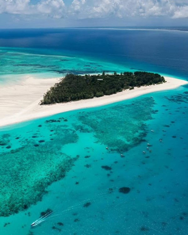 Private Dolphin Tour and Snorkeling at Mnemba Island reef | ®ExcursionMania