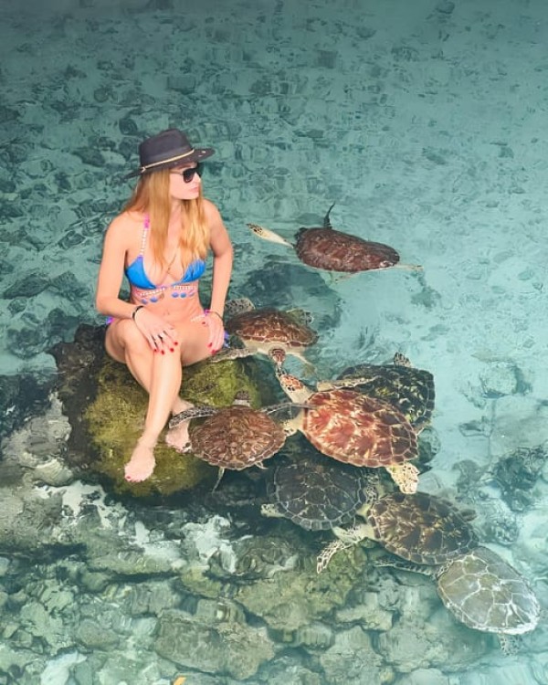 Zanzibar: Dolphin Snorkel & Turtles Swim Tour in Kizimkazi | ®ExcursionMania