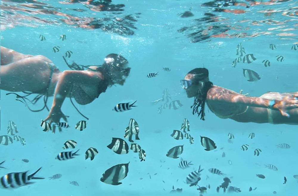 Zanzibar: Dolphin Snorkel & Turtles Swim Tour in Kizimkazi | ®ExcursionMania