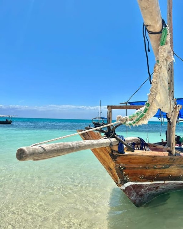 Safari Blue Zanzibar: Private Trip | ®ExcursionMania