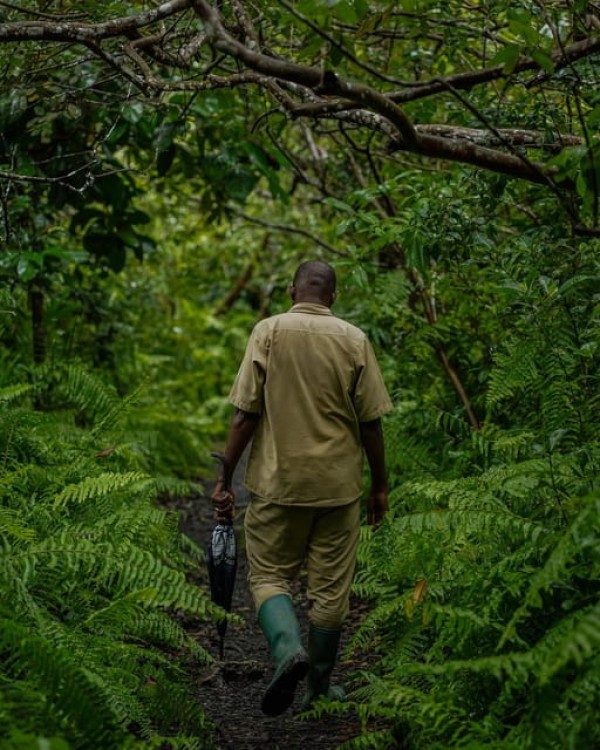Zanzibar Jozani Forest | ®ExcursionMania