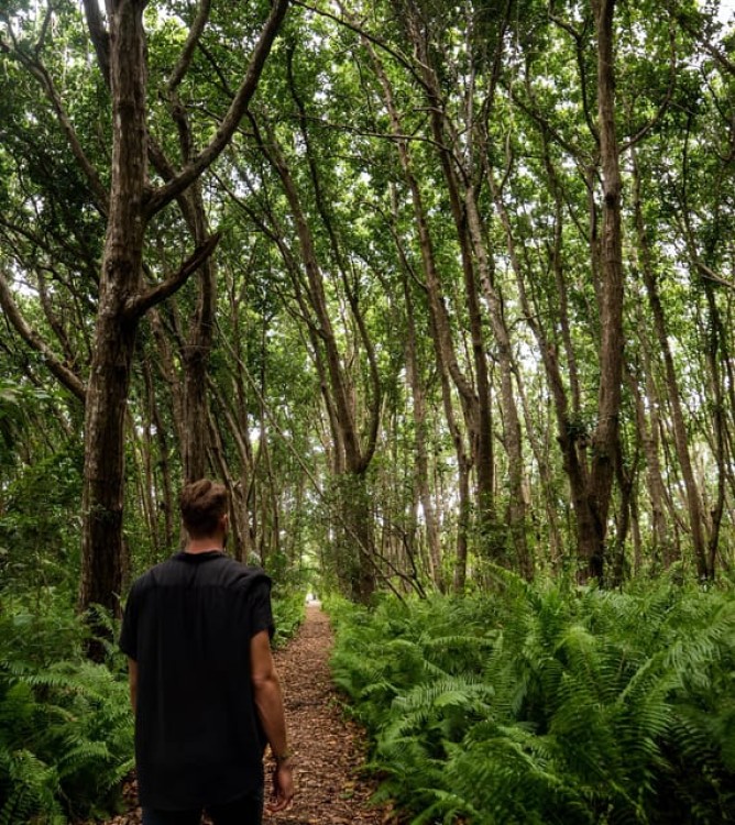 Zanzibar: Jozani Chwaka Bay National Park and Lunch | ®ExcursionMania