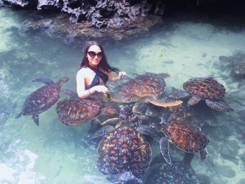 Salaam Cave Swimming with Sea Turtles in Zanzibar Kizimkazi | ®ExcursionMania