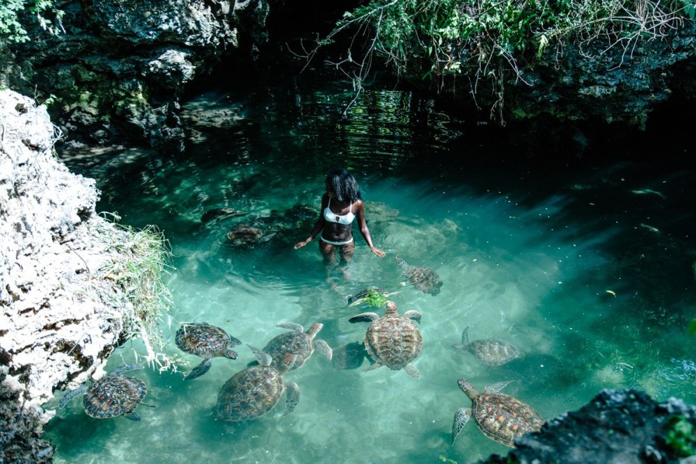 Salaam Cave Swimming with Sea Turtles in Zanzibar Kizimkazi | ®ExcursionMania