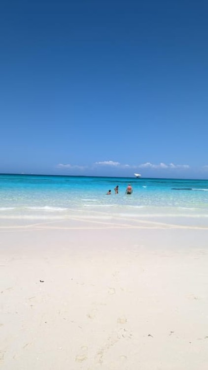 Snorkeling in Zanzibar: Mnemba Island and Dolphin adventure | ®ExcursionMania