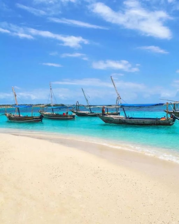 Safari blue Zanzibar by sailing dhow trip | ®ExcursionMania