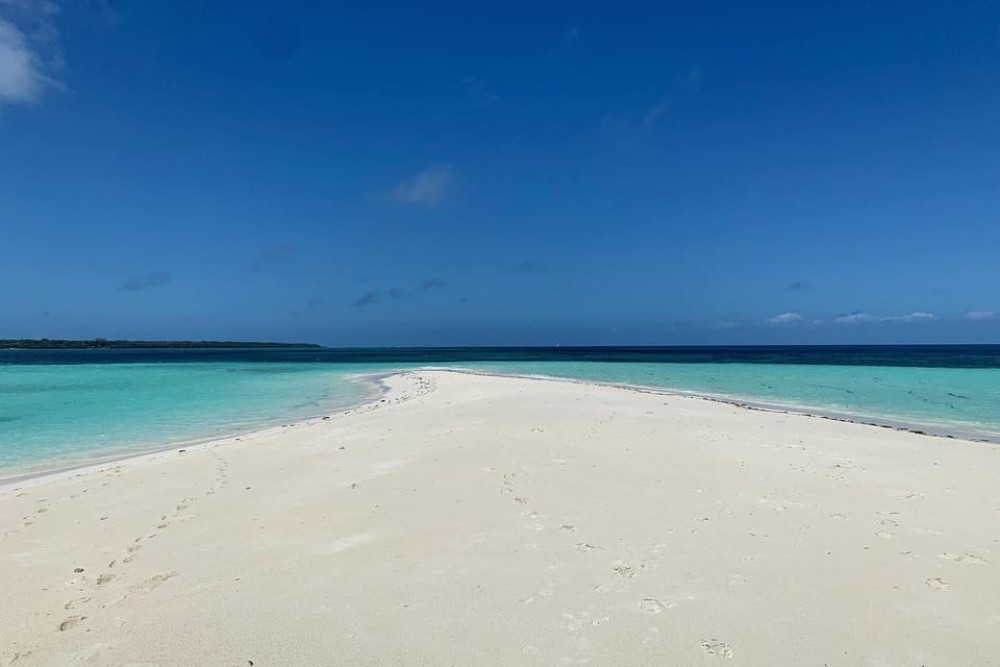 Pungume beach, sandbank BBQ and snorkeling | ®ExcursionMania