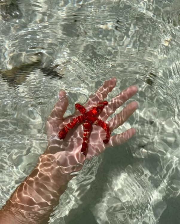 Pungume beach, sandbank BBQ and snorkeling | ®ExcursionMania