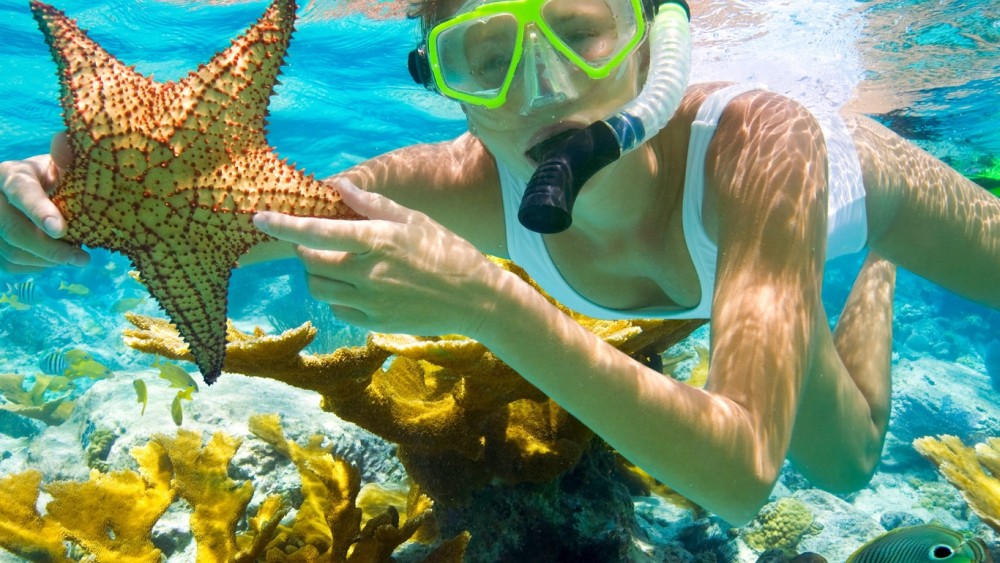 Pungume beach, sandbank BBQ and snorkeling | ®ExcursionMania