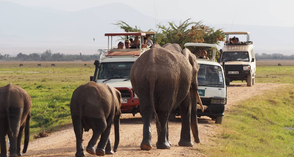 5 Days Amboseli, Lake Nakuru and Masai Mara Safari | ®ExcursionMania