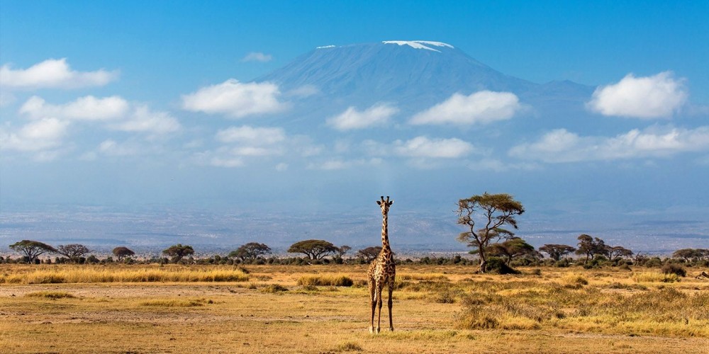 5 Days Amboseli, Lake Nakuru and Masai Mara Safari | ®ExcursionMania