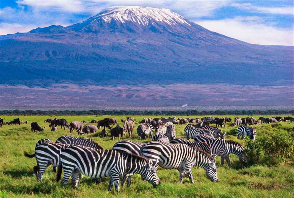 5 Days Amboseli, Lake Nakuru and Masai Mara Safari | ®ExcursionMania