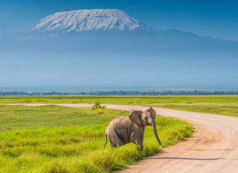 5 Days Amboseli, Lake Nakuru and Masai Mara Safari | ®ExcursionMania