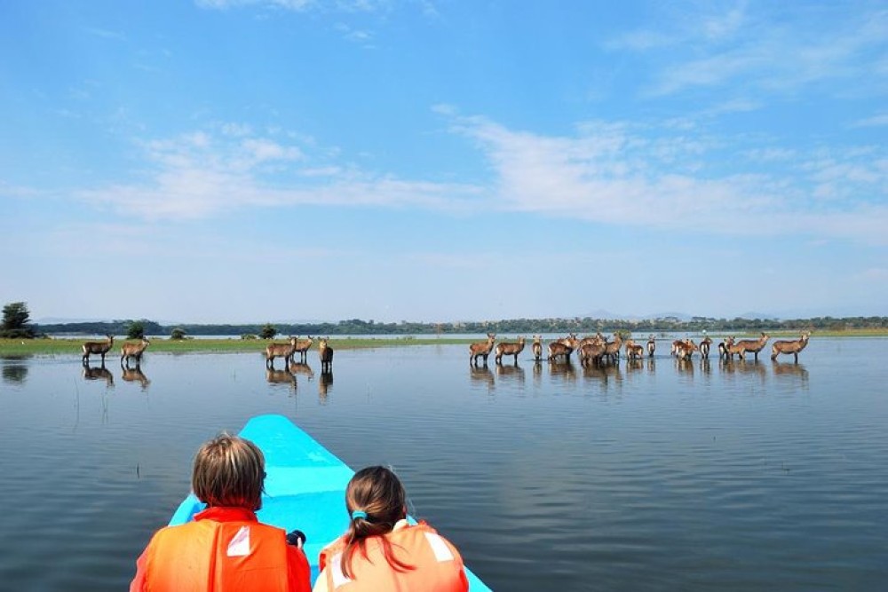 5 Days Masai Mara, Lake Naivasha, Lake Nakuru Safari | ®ExcursionMania
